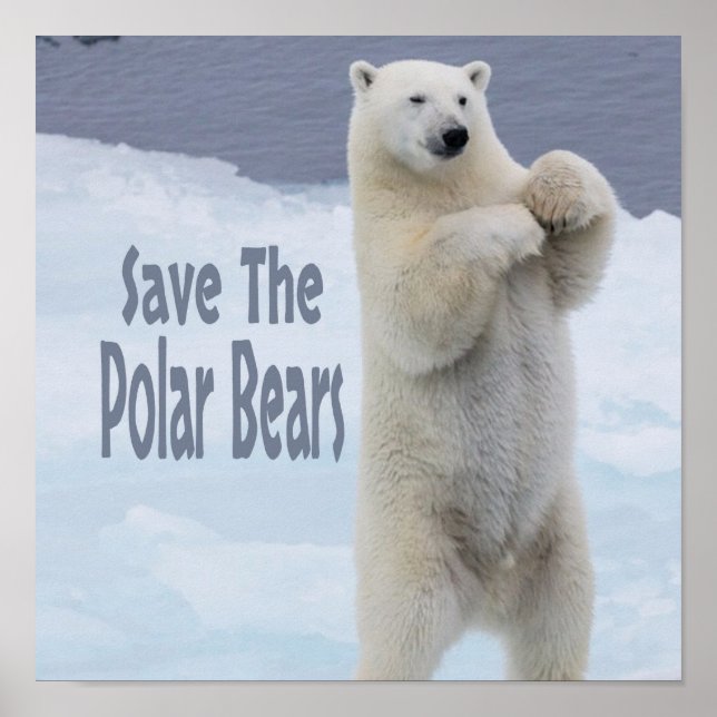 Poster Sauvez Les Ours Polaires (Devant)