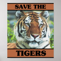 Sauvez les tigres