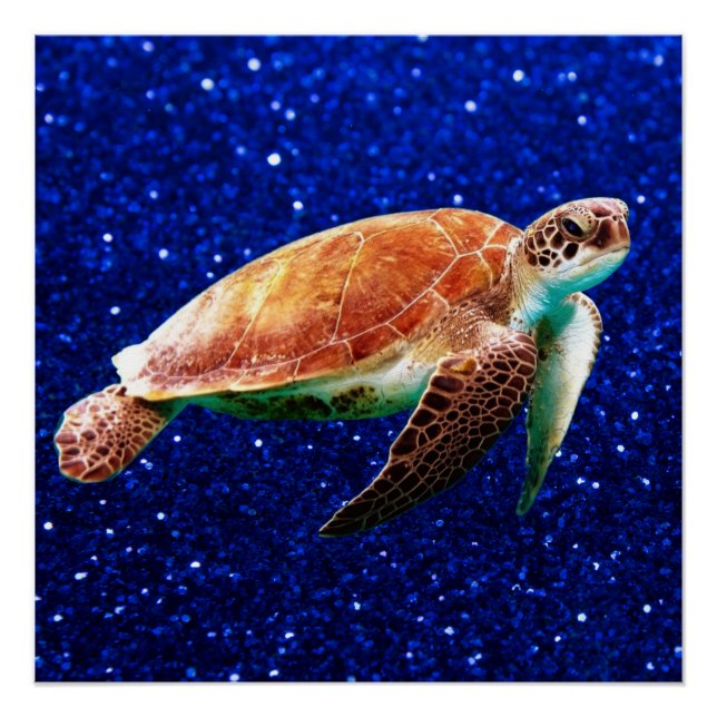 Poster Sauvez les tortues marines (Devant)