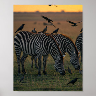 Poster Savanna Stripes Stillation