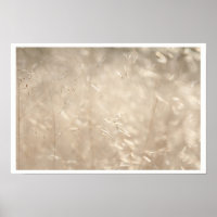 Poster Savannah Golden Grass A3