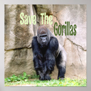 Poster Save The Gorillas