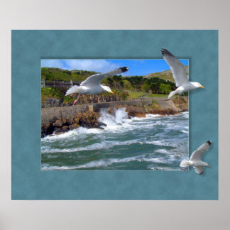 Poster Scape Seagull