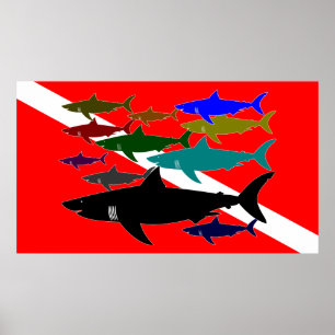 Poster Scaphandre/affiche de requins