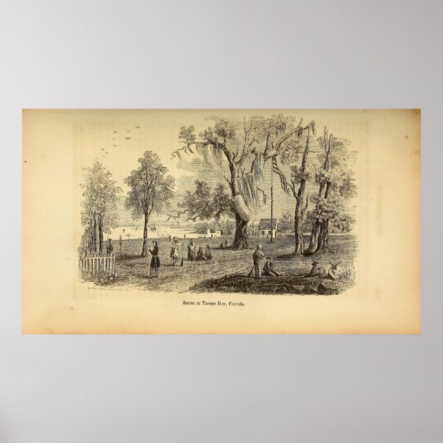 Poster Scène à Tampa Bay (Devant)