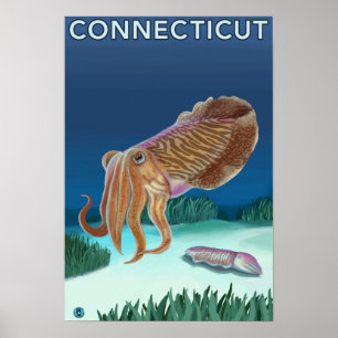 Poster Scène ConnecticutCuttlefish