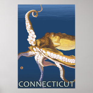 Poster Scène ConnecticutOctopus