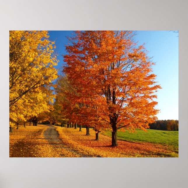 Poster Scène D'Automne Dans Le Vermont (Devant)