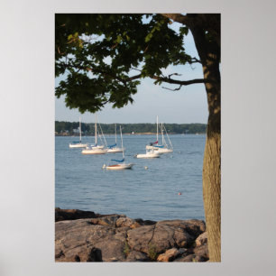 Poster Scène de baie