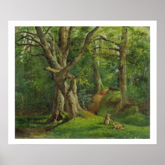 Poster Scène de bois avec lapins, 1862 (huile sur toile) (Devant)