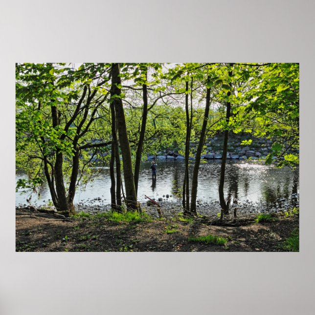 Poster Scène De Bois. Blackweir Woods, Cardiff (Devant)