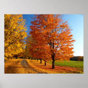 Poster Scène de chute au Vermont