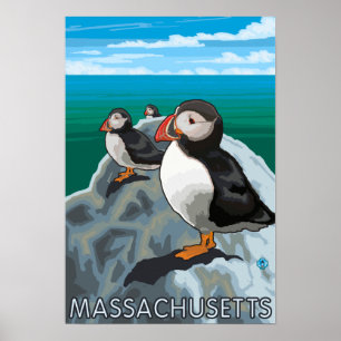 Poster Scène de MassachusettsPuffins