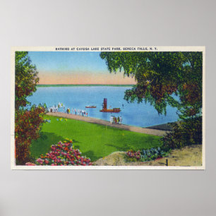 Poster Scène de natation au parc d'état de lac Cayuga