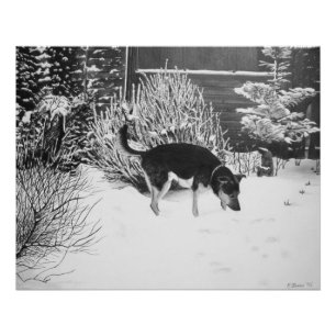 Poster Scène de neige d'hiver avec le chien noir et