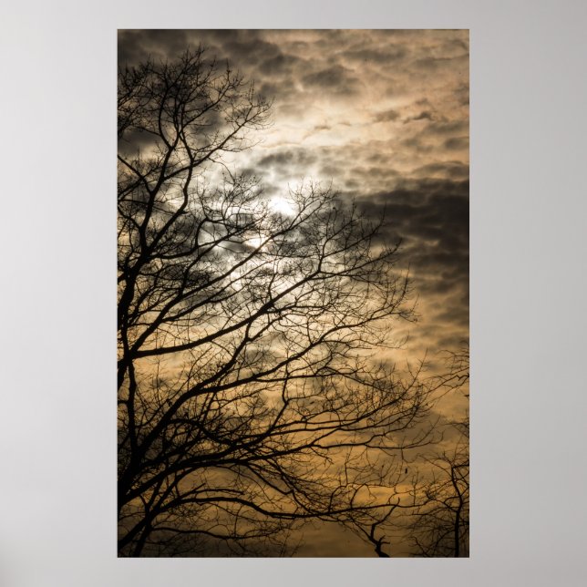 Poster Scène de soleil nuageux (Devant)