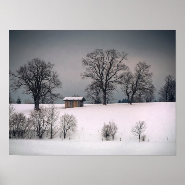 Poster Scène d'hiver, colline et arbres, hutte (Devant)