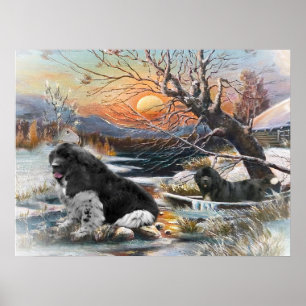 Poster Scène d'hiver de deux Newfies