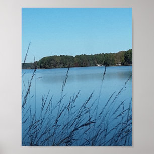 Poster Scène du lac