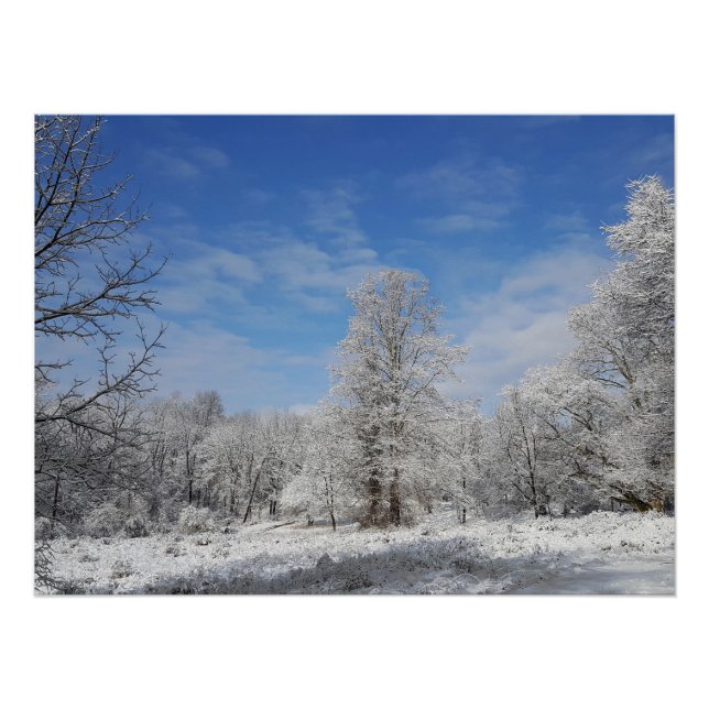Poster Scène hivernale du nord-est (Devant)