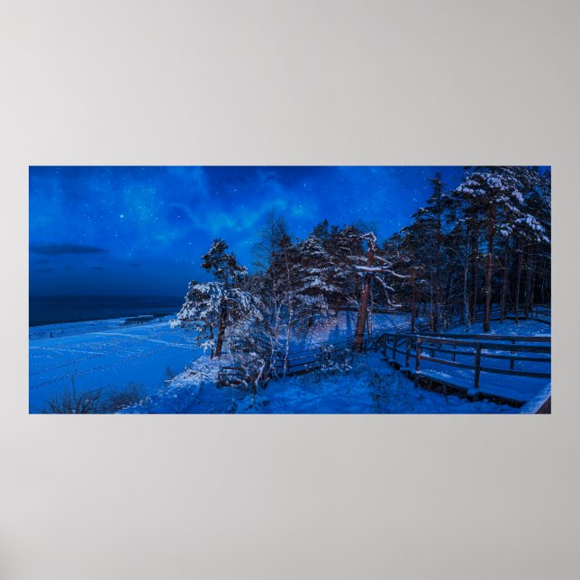 Poster Scène hivernale nocturne avec pins enneigés (Devant)