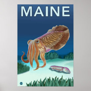 Poster Scène MaineCuttlefish