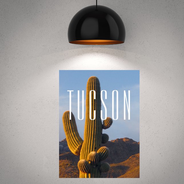 Poster Scène Sunlit Saguaro Tucson (Créateur téléchargé)