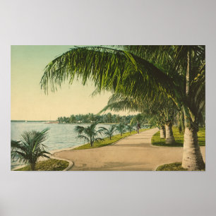 Poster Scène vintage de Palm Beach 1898 en Floride