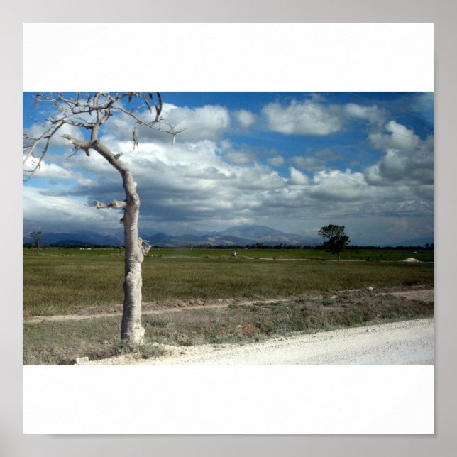 Poster Scènes d'Haïti (Devant)