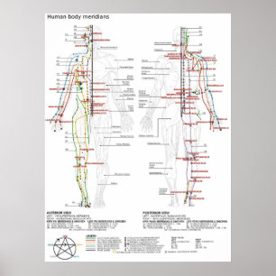 Poster Schéma des méridiens chinois du corps humain