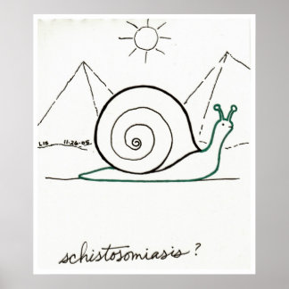 Poster Schistosomiase