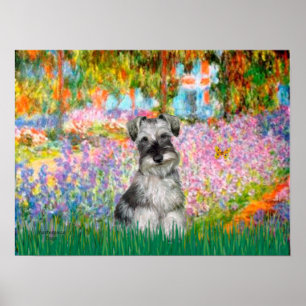 Poster Schnauzer 1N - Jardin