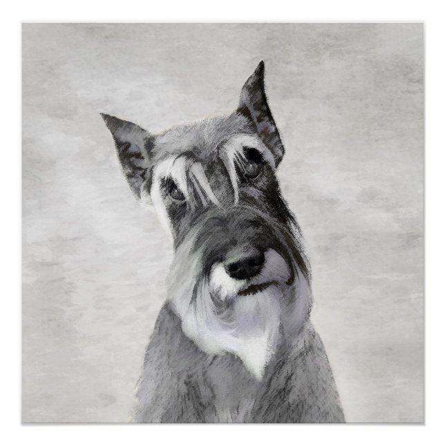 Poster Schnauzer (Giant) Peinture - Chien Art (Devant)