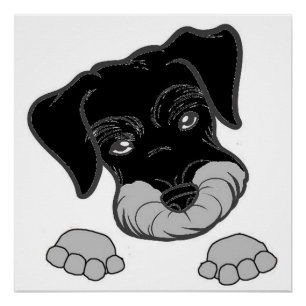 Poster schnauzer miniature noir et argenté