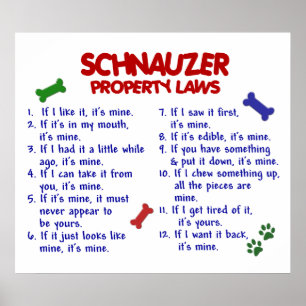 POSTER SCHNAUZER PL2