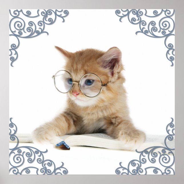 Poster Scholar Cat (Devant)