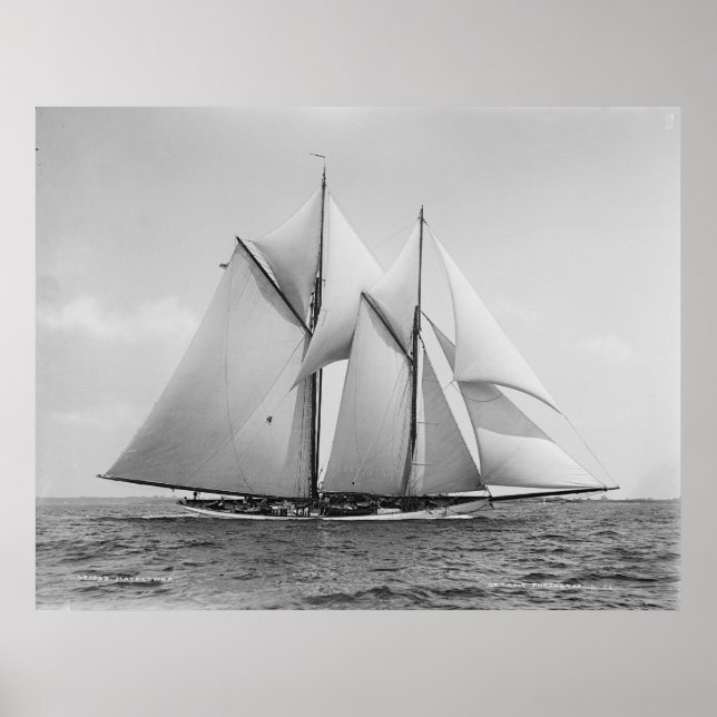 Poster Schooner Mayflower (Devant)