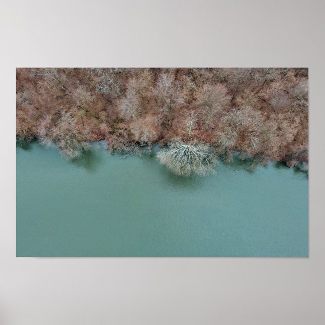 Poster Schuylkill Trees Sanatoga (Devant)