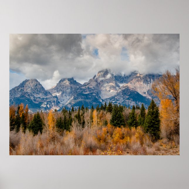 Poster Schwabacher Landing Grand Teton National Park (Devant)