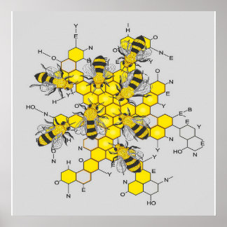 Poster Science du miel et des abeilles| cadeau pour amour