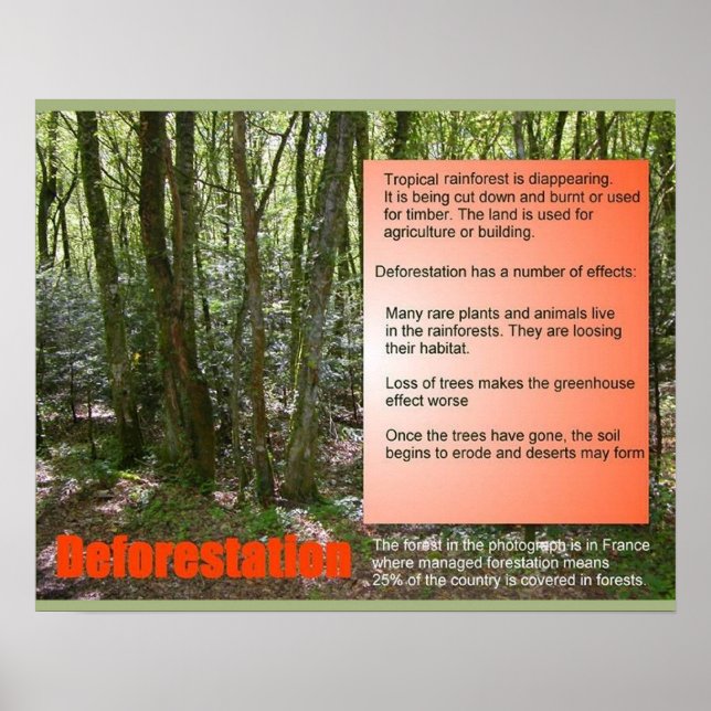 Poster Science Vie Science Déforestation (Devant)