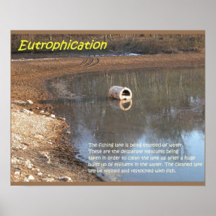 Poster Sciences de la Terre, Environnement, Eutrophisatio