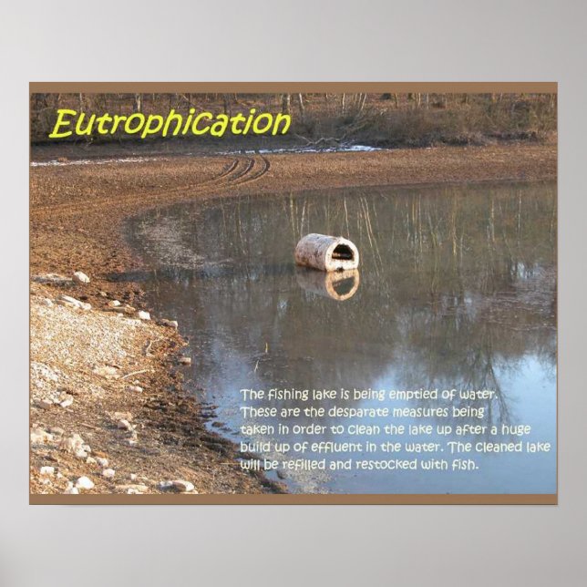 Poster Sciences de la Terre, Environnement, Eutrophisatio (Devant)