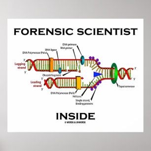Poster Scientist Inside