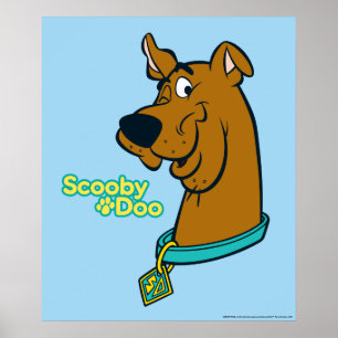 Poster Scooby-Doo Winking