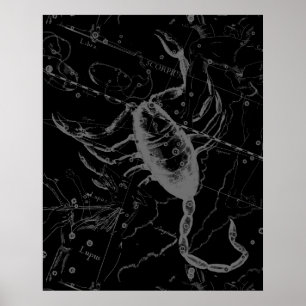 Poster Scorpio Constellation Hevelius 1690 sur Black