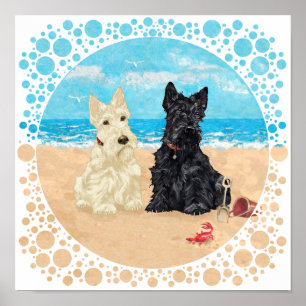 Poster Scotties roux et noirs à la plage