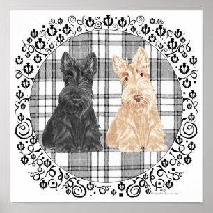 Poster Scotties tartan