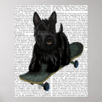 Scottish Terrier et Skateboard