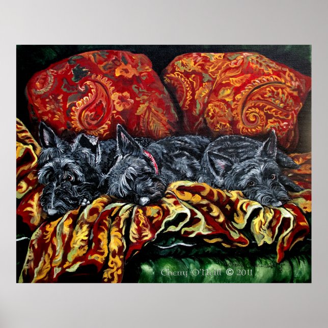 Poster Scottish Terrier Trio (Devant)